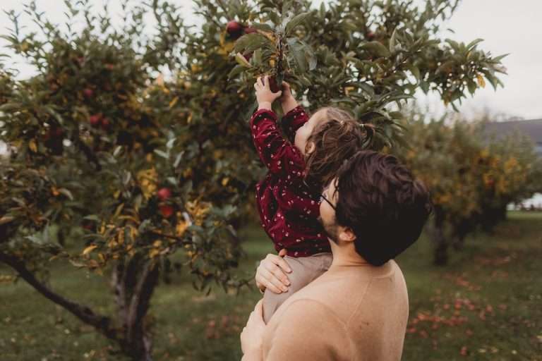 Williams Orchard