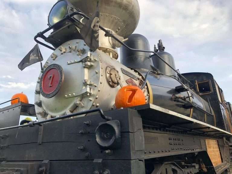Train with Pumpkin